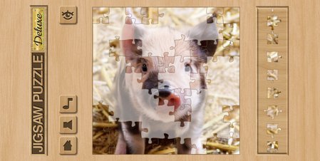 Jigsaw Puzzle Deluxe - Screenshot